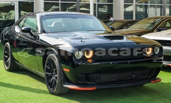 Buy Import Dodge Challenger Black Car in Import - Dubai in A'ana