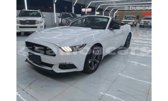 Buy Import Ford Mustang White Car in Import - Dubai in A'ana Buy Import Ford Mustang White Car in Import - Dubai in A'ana