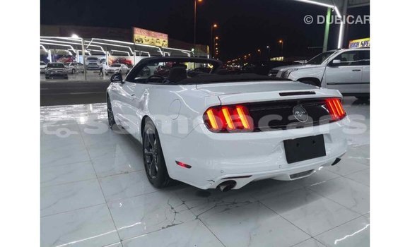Buy Import Ford Mustang White Car in Import - Dubai in A'ana Buy Import Ford Mustang White Car in Import - Dubai in A'ana