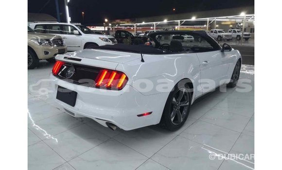 Buy Import Ford Mustang White Car in Import - Dubai in A'ana Buy Import Ford Mustang White Car in Import - Dubai in A'ana