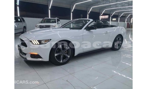 Buy Import Ford Mustang White Car in Import - Dubai in A'ana Buy Import Ford Mustang White Car in Import - Dubai in A'ana