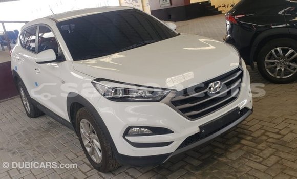 Acheter Import Voiture Hyundai Tucson Blanc à Import - Dubai, A'ana Acheter Import Voiture Hyundai Tucson Blanc à Import - Dubai, A'ana
