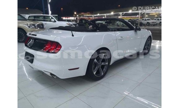Buy Import Ford Mustang White Car in Import - Dubai in A'ana Buy Import Ford Mustang White Car in Import - Dubai in A'ana