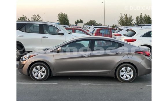 Buy Import Hyundai Elantra Brown Car in Import - Dubai in A'ana Buy Import Hyundai Elantra Brown Car in Import - Dubai in A'ana