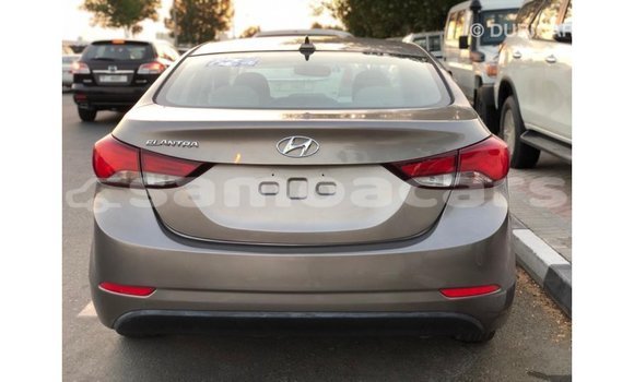 Buy Import Hyundai Elantra Brown Car in Import - Dubai in A'ana Buy Import Hyundai Elantra Brown Car in Import - Dubai in A'ana