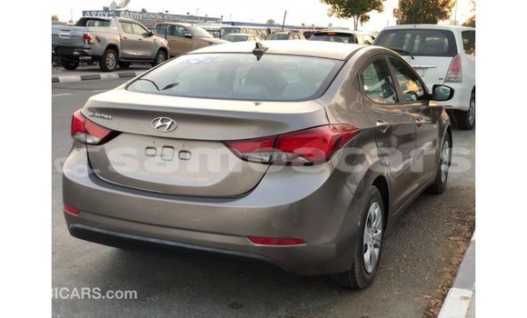 Buy Import Hyundai Elantra Brown Car in Import - Dubai in A'ana Buy Import Hyundai Elantra Brown Car in Import - Dubai in A'ana