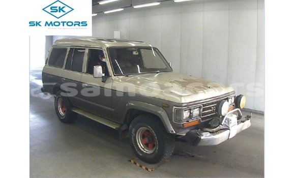 Acheter Import Voiture Toyota Land Cruiser Autre à Import - Dubai, A'ana Acheter Import Voiture Toyota Land Cruiser Autre à Import - Dubai, A'ana