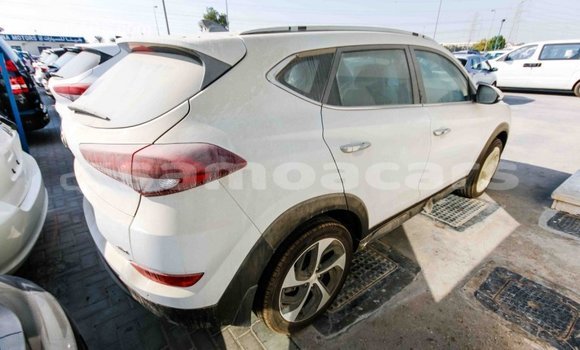 Buy Import Hyundai Tucson White Car in Import - Dubai in A'ana Buy Import Hyundai Tucson White Car in Import - Dubai in A'ana