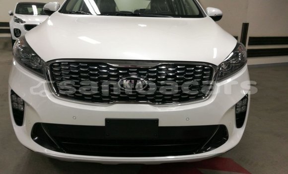 Buy Import Kia Sorento White Car in Import - Dubai in A'ana