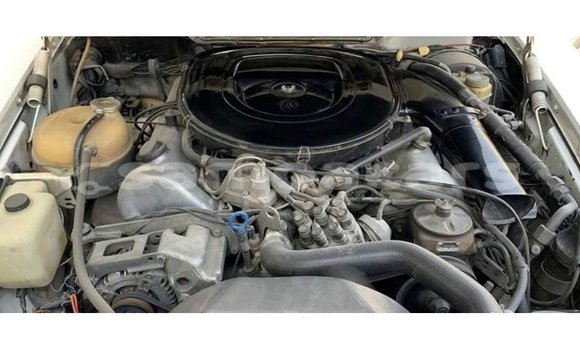 Acheter Import Voiture Mercedes-Benz 190 Blanc à Import - Dubai, A'ana Acheter Import Voiture Mercedes-Benz 190 Blanc à Import - Dubai, A'ana