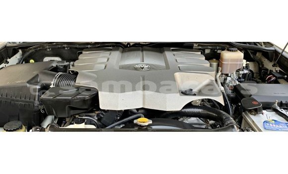 Acheter Import Voiture Toyota Land Cruiser Blanc à Import - Dubai, A'ana Acheter Import Voiture Toyota Land Cruiser Blanc à Import - Dubai, A'ana