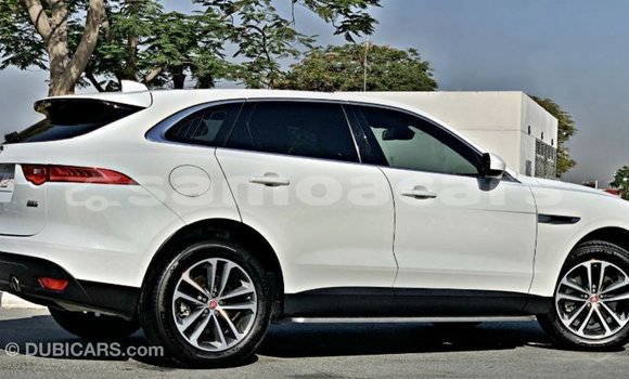 Acheter Import Voiture Jaguar F-Pace Blanc à Import - Dubai, A'ana Acheter Import Voiture Jaguar F-Pace Blanc à Import - Dubai, A'ana