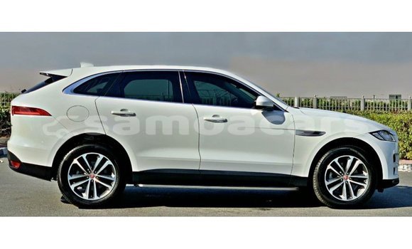 Acheter Import Voiture Jaguar F-Pace Blanc à Import - Dubai, A'ana Acheter Import Voiture Jaguar F-Pace Blanc à Import - Dubai, A'ana