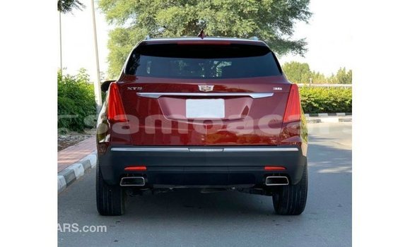 Buy Import Cadillac XT5 Red Car in Import - Dubai in A'ana Buy Import Cadillac XT5 Red Car in Import - Dubai in A'ana