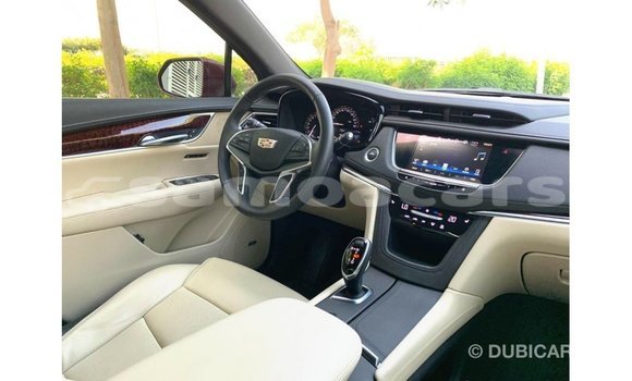 Buy Import Cadillac XT5 Red Car in Import - Dubai in A'ana Buy Import Cadillac XT5 Red Car in Import - Dubai in A'ana