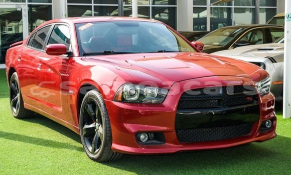 Buy Import Dodge Charger Red Car in Import - Dubai in A'ana