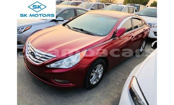 Buy Import Hyundai Sonata Red Car in Import - Dubai in A'ana
