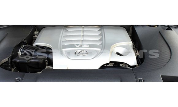 Buy Import Lexus LX White Car in Import - Dubai in A'ana Buy Import Lexus LX White Car in Import - Dubai in A'ana
