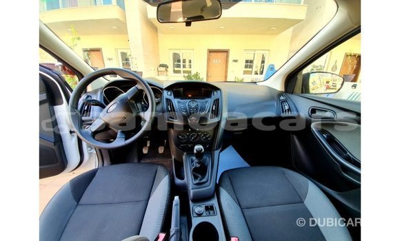 Buy Import Ford Focus White Car in Import - Dubai in A'ana Buy Import Ford Focus White Car in Import - Dubai in A'ana