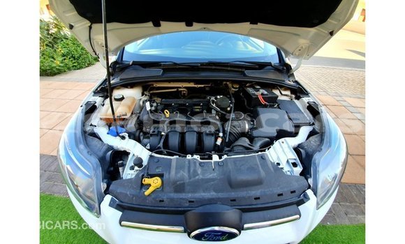 Buy Import Ford Focus White Car in Import - Dubai in A'ana Buy Import Ford Focus White Car in Import - Dubai in A'ana