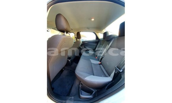 Buy Import Ford Focus White Car in Import - Dubai in A'ana Buy Import Ford Focus White Car in Import - Dubai in A'ana
