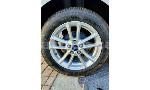 Buy Import Ford Focus White Car in Import - Dubai in A'ana Buy Import Ford Focus White Car in Import - Dubai in A'ana