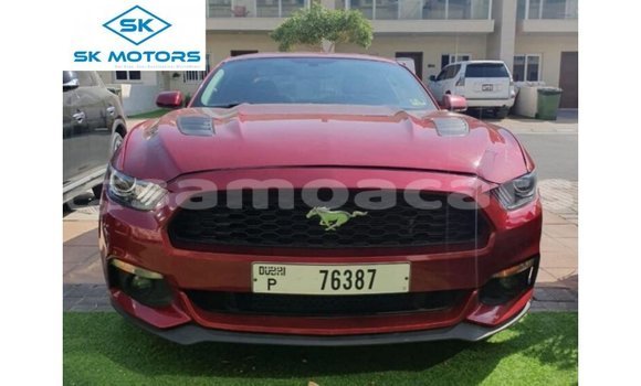 Acheter Import Voiture Ford Mustang Rouge à Import - Dubai, A'ana