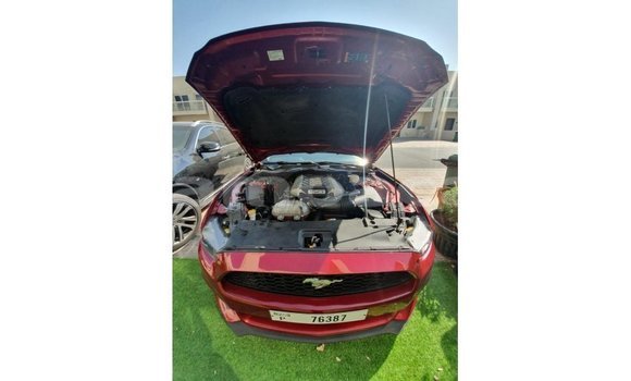 Acheter Import Voiture Ford Mustang Rouge à Import - Dubai, A'ana Acheter Import Voiture Ford Mustang Rouge à Import - Dubai, A'ana