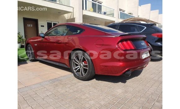 Acheter Import Voiture Ford Mustang Rouge à Import - Dubai, A'ana Acheter Import Voiture Ford Mustang Rouge à Import - Dubai, A'ana