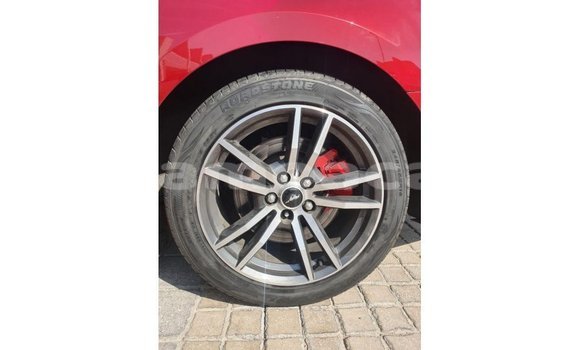 Acheter Import Voiture Ford Mustang Rouge à Import - Dubai, A'ana Acheter Import Voiture Ford Mustang Rouge à Import - Dubai, A'ana