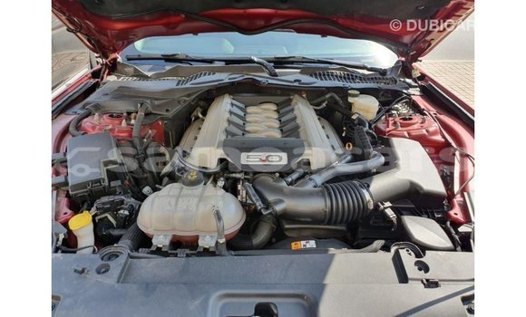 Acheter Import Voiture Ford Mustang Rouge à Import - Dubai, A'ana Acheter Import Voiture Ford Mustang Rouge à Import - Dubai, A'ana