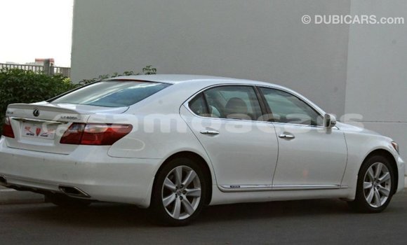 Buy Import Lexus LS White Car in Import - Dubai in A'ana Buy Import Lexus LS White Car in Import - Dubai in A'ana