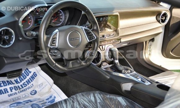 Acheter Import Voiture Chevrolet Camaro Blanc à Import - Dubai, A'ana Acheter Import Voiture Chevrolet Camaro Blanc à Import - Dubai, A'ana
