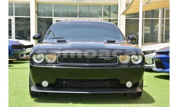 Buy Import Dodge Challenger Black Car in Import - Dubai in A'ana