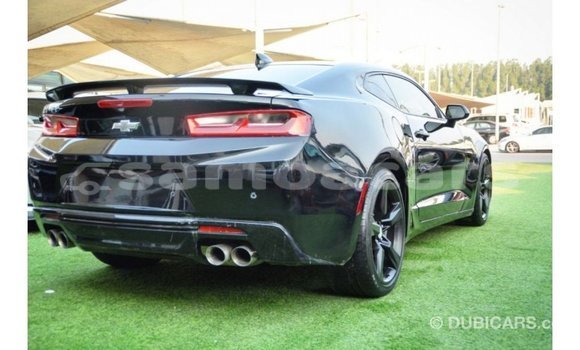Buy Import Chevrolet Camaro Black Car in Import - Dubai in A'ana Buy Import Chevrolet Camaro Black Car in Import - Dubai in A'ana