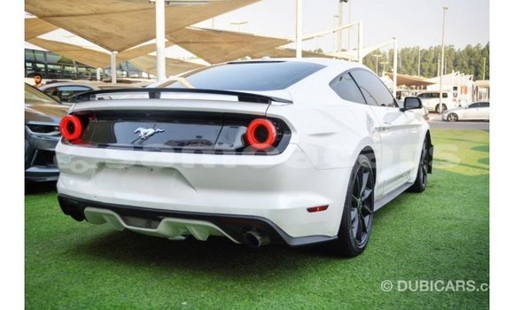 Acheter Import Voiture Ford Mustang Blanc à Import - Dubai, A'ana Acheter Import Voiture Ford Mustang Blanc à Import - Dubai, A'ana