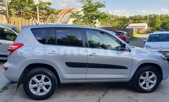 Buy Used Toyota Vanguard Other Car in A'opo in Gagaifomauga Buy Used Toyota Vanguard Other Car in A'opo in Gagaifomauga