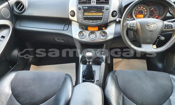 Buy Used Toyota Vanguard Other Car in A'opo in Gagaifomauga Buy Used Toyota Vanguard Other Car in A'opo in Gagaifomauga