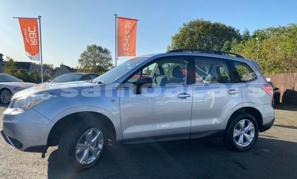 Buy Used Subaru Forrester Other Car in A'opo in Gagaifomauga Buy Used Subaru Forrester Other Car in A'opo in Gagaifomauga