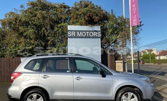 Buy Used Subaru Forrester Other Car in A'opo in Gagaifomauga Buy Used Subaru Forrester Other Car in A'opo in Gagaifomauga