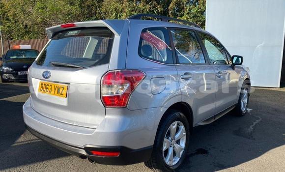 Buy Used Subaru Forrester Other Car in A'opo in Gagaifomauga Buy Used Subaru Forrester Other Car in A'opo in Gagaifomauga