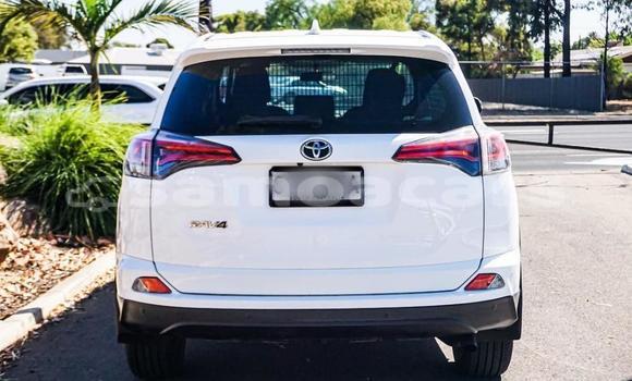 Buy Used Toyota RAV4 Other Car in Apia in Tuamasaga Buy Used Toyota RAV4 Other Car in Apia in Tuamasaga