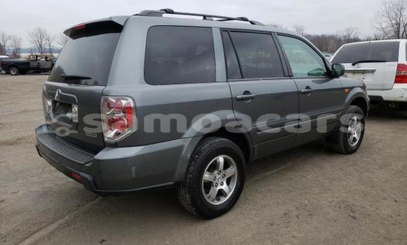Buy Used Honda Pilot Green Car in Apia in Tuamasaga Buy Used Honda Pilot Green Car in Apia in Tuamasaga
