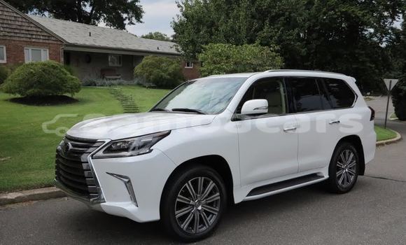 Buy Used Lexus LX 570 White Car in A'opo in Gagaifomauga Buy Used Lexus LX 570 White Car in A'opo in Gagaifomauga