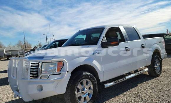 Buy Used Ford F–150 White Car in Apai in Aiga-i-le-Tai Buy Used Ford F–150 White Car in Apai in Aiga-i-le-Tai