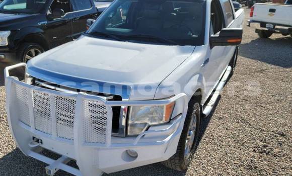Buy Used Ford F–150 White Car in Apai in Aiga-i-le-Tai Buy Used Ford F–150 White Car in Apai in Aiga-i-le-Tai