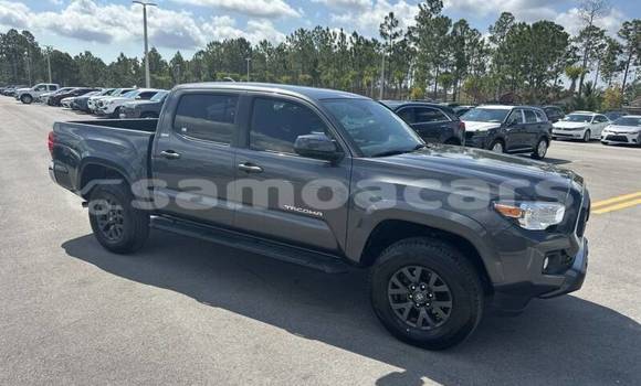 Buy Import Toyota Tacoma Other Car in Apia in Tuamasaga