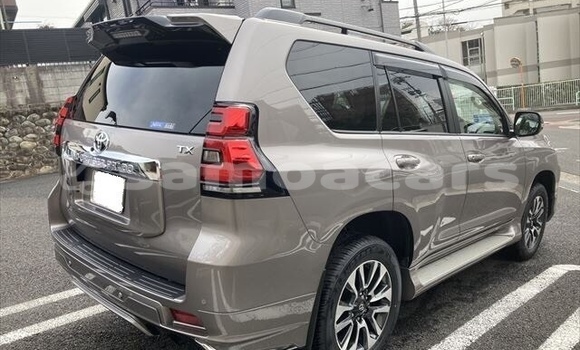 Acheter Occasion Voiture Toyota Land Cruiser Prado Beige à Faleapuna, Va'a-o-Fonoti Acheter Occasion Voiture Toyota Land Cruiser Prado Beige à Faleapuna, Va'a-o-Fonoti