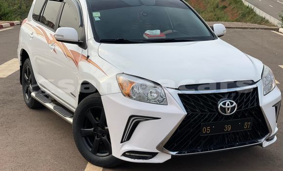 Buy Used Toyota RAV4 White Car in Apia in Tuamasaga Buy Used Toyota RAV4 White Car in Apia in Tuamasaga