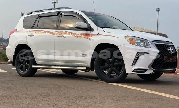 Buy Used Toyota RAV4 White Car in Apia in Tuamasaga Buy Used Toyota RAV4 White Car in Apia in Tuamasaga